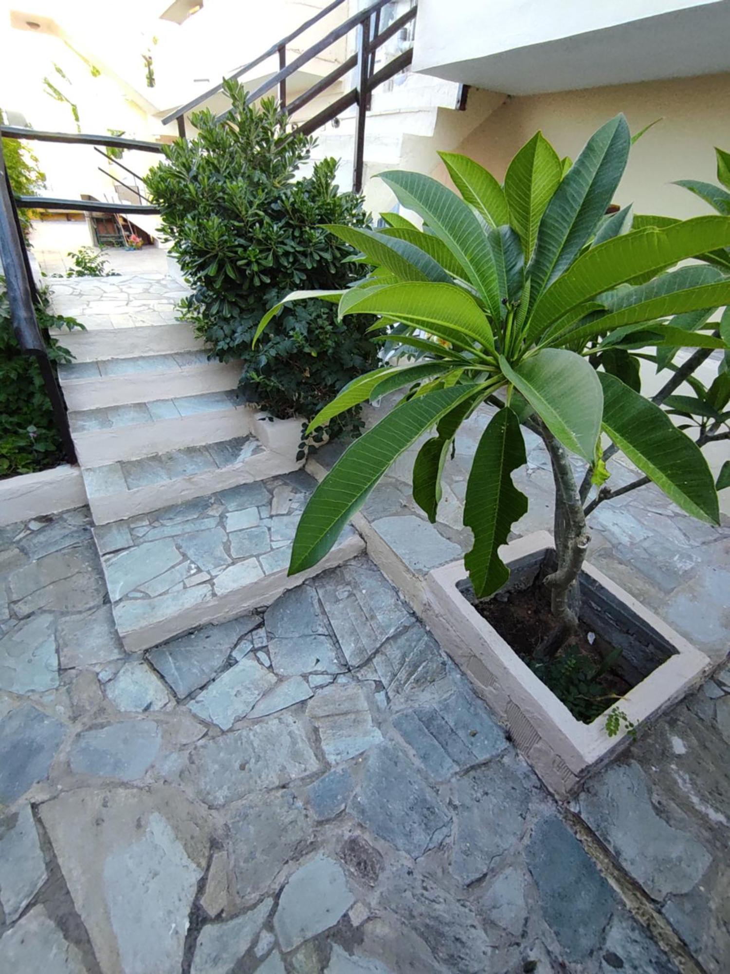 Dedalos N3 Sea View Apartment-30 Metres From The Beach Stalida Exterior foto